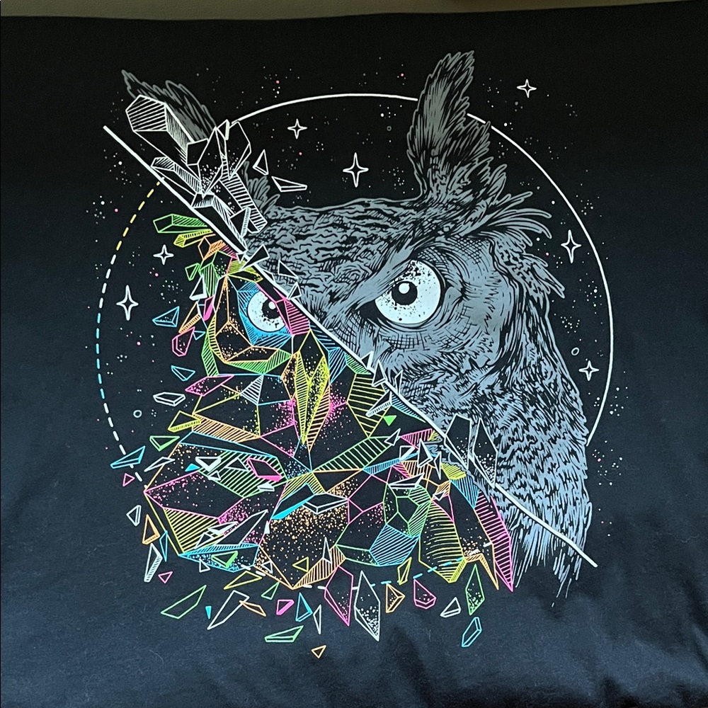 Into The Am Black Geometric Owl Tee